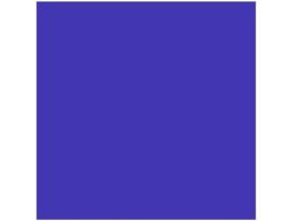 Toldo Lateral Liso para Tendas REGALOS MIGUEL Premium (3 m - Azul)