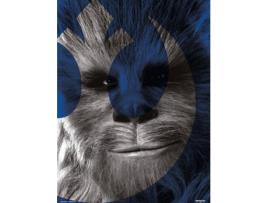 Print  30X40 Cm Ix Chewbacca