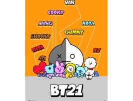 Print BT21 30X40 cm