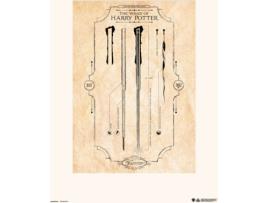 Print HARRY POTTER 30X40 Cm The Wand