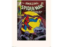 Print SPIDERMAN 30X40 cm  Amazing 70