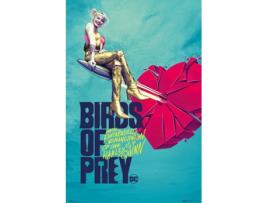 Poster S Birds Of Prey Broken Heart