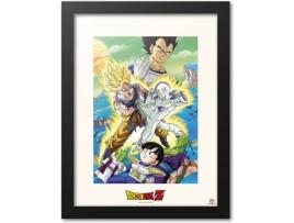 Print DRAGON BALL Z 30X40 cm  Freezer Encounter