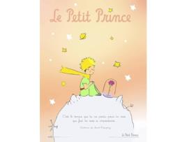 Poster LE PETIT PRINCE 30X40 cm