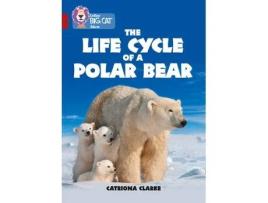 Livro the life cycle of a polar bear de catriona clarke (inglês)
