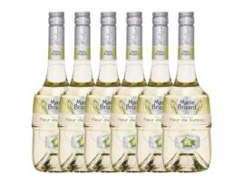 Licor MARIE BRIZARD Marie Brizard Fleur De Sureau (0.7 L - 6 unidades)