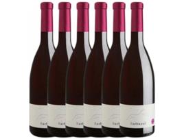 Vinho Rosé HUERTA DE ALBALÁ Huerta De Albalá Barbazul Rosado Syrah Vino De La Tierra De Cádiz Joven (0.75 L - 6 unidades)