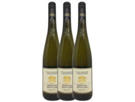 Vinho STALLMANN-HIESTAND Stallmann-Hiestand Riesling Joven (0.75 L - 3 unidades)