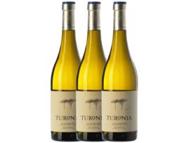 Vinho QUINTA DE COUSELO Quinta De Couselo Turonia Albariño Rías Baixas (0.75 L - 3 unidades)