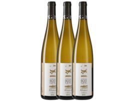 Vinho Brancos DOMAINE BOTT-GEYL Domaine Bott-Geyl Gentil Métiss Alsace (0.75 L - 3 unidades)