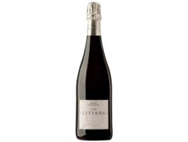 Espumante PARXET Parxet Titiana Montalegre Brut Nature Cava Reserva (0.75 L - 1 unidade)