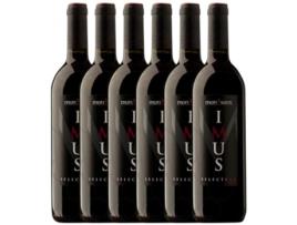Vinho FALSET MARÇÀ Falset Marçà Imus Selection Montsant Joven (0.75 L - 6 unidades)