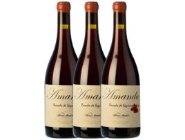 Vinho MAESTRO TEJERO Maestro Tejero Amanda Grenache Tintorera Vino De La Tierra De Castilla Y León (0.75 L - 3 unidades)