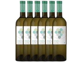 Vinho PIÑOL Piñol Raig De Raïm Terra Alta Joven (0.75 L - 6 unidades)