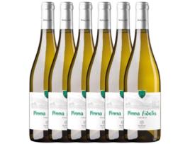 Vinho PINNA FIDELIS Pinna Fidelis Verdejo Rueda (0.75 L - 6 unidades)