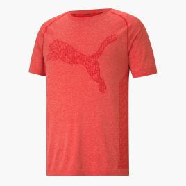 T-shirt Puma Rtg Evoknit - Vermelho - T-shirt Running Homem tamanho XL