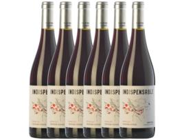 Vinho Tinto OLIVER CONTI Oliver Conti Indispensable Negre Empordà (0.75 L - 6 unidades)