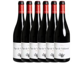 Vinho VALTUILLE Valtuille Pago De Valdoneje Mencía Bierzo Roble (0.75 L - 6 unidades)