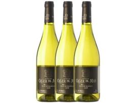 Vinho Brancos OLLER DEL MAS Oller Del Mas Bernat Blanc De Picapolls Pla De Bages (0.75 L - 3 unidades)