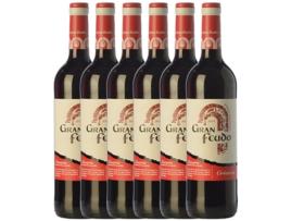 Vinho GRAN FEUDO Gran Feudo Navarra Crianza (0.75 L - 6 unidades)