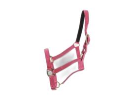 Halter Norton Doublé cuir