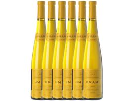 Vinho BERTHA Bertha Umami Penedès Joven (0.75 L - 6 unidades)