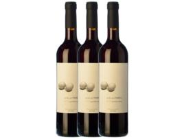 Vinho Tinto VINYES DE LA DOT Vinyes De La Dot Amb Un Parell Negre Empordà Joven (0.75 L - 3 unidades)