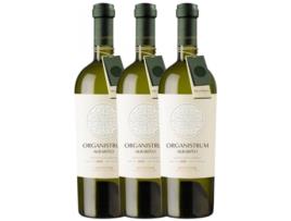 Vinho MARTÍN CÓDAX Martín Códax Organistrum Albariño Rías Baixas Crianza (0.75 L - 3 unidades)