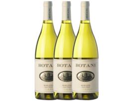 Vinho JORGE ORDÓÑEZ Jorge Ordóñez Botani Mascate De Alexandria Sierras De Málaga (0.75 L - 3 unidades)