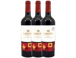 Vinho GORMAZ Gormaz 12 Linajes Tempranillo Ribera Del Duero Crianza (0.75 L - 3 unidades)
