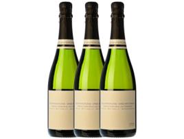 Espumante ELS VINYERONS Els Vinyerons Pregadéu Ancestral Xarel·Lo Brut Penedès (0.75 L - 3 unidades)