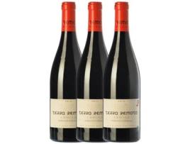 Vinho TERRA REMOTA Terra Remota Camino Empordà Crianza (0.75 L - 3 unidades)