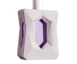 Ariana Grande    100 ml