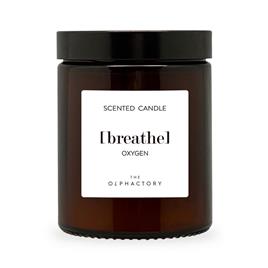 AMBIENTAIR  200 G  200 g