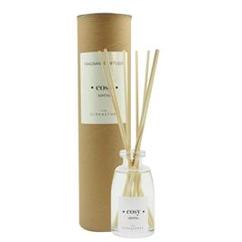 AMBIENTAIR    250 ml