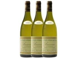 Vinho DOMAINE GITTON Domaine Gitton L'Amiral Sauvignon Branca Sancerre Crianza (0.75 L - 3 unidades)