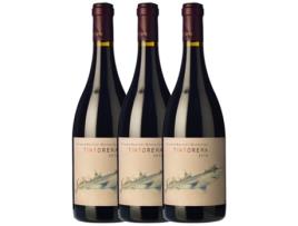 Vinho VINESSENS Vinessens Grenache Tintorera Alicante Roble (0.75 L - 3 unidades)