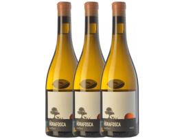 Vinho DESCREGUT Descregut Horafosca Xarel·Lo Penedès Crianza (0.75 L - 3 unidades)