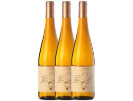 Vinho TORRES Torres Waltraud Riesling Penedès (0.75 L - 3 unidades)