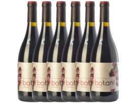 Vinho JORGE ORDÓÑEZ Jorge Ordóñez Botani Grenache Sierras De Málaga Joven (0.75 L - 6 unidades)