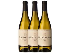 Vinho OSSIAN Ossian Quintaluna Verdejo Rueda (0.75 L - 3 unidades)