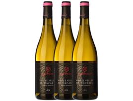 Vinho DOMÈNECH Domènech Macabeo Montsant Crianza (0.75 L - 3 unidades)