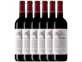 Vinho VIRXE DE GALIR Virxe De Galir Pagos Del Galir Mencía Valdeorras (0.75 L - 6 unidades)