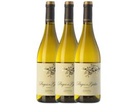 Vinho VIRXE DE GALIR Virxe De Galir Pagos Del Galir Godello Valdeorras Joven (0.75 L - 3 unidades)