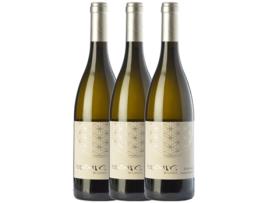 Vinho CÒSMIC Còsmic Gratitud Sauvignon Branca Crianza (0.75 L - 3 unidades)