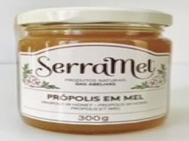 Mel Serramel Própolis Em Mel 300g