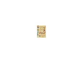 Livro Caderno de viagens da Pilar [LS] de Lins e Silva Flávia (Brasileiro)