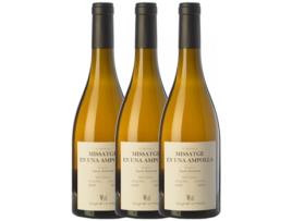 Vinho VINYA OCULTA Vinya Oculta Amós Bañeres Missatge En Una Ampolla Macabeo Penedès (0.75 L - 3 unidades)