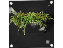 Vaso BLOOMING WALLS The Green Pocket Peva P04 (Preto)