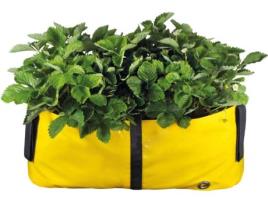 Vaso BLOOMING WALLS The Green Block M B01 (Amarelo)